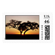 IN KENYA postage by makaku777 IN KENYA postage