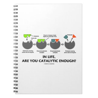 In Life, Are You Catalytic Enough? Journals