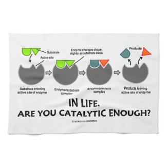 In Life, Are You Catalytic Enough? Kitchen Towels