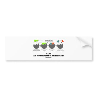 In Life, Are You The Enzyme Or The Substrate? bumpersticker