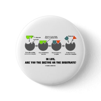 In Life, Are You The Enzyme Or The Substrate? button