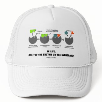 In Life, Are You The Enzyme Or The Substrate? hat