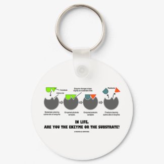 In Life, Are You The Enzyme Or The Substrate? keychain