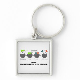 In Life, Are You The Enzyme Or The Substrate? keychain