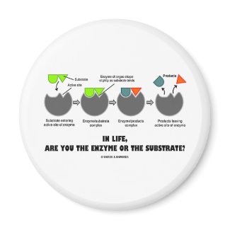 In Life, Are You The Enzyme Or The Substrate? magnet