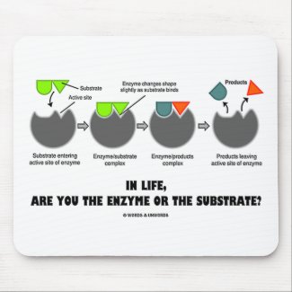 In Life, Are You The Enzyme Or The Substrate? mousepad