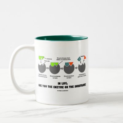 In Life, Are You The Enzyme Or The Substrate? Mug