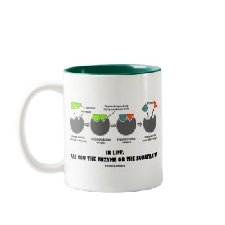 In Life, Are You The Enzyme Or The Substrate? mug