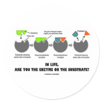 In Life, Are You The Enzyme Or The Substrate? Sticker