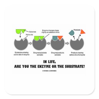 In Life, Are You The Enzyme Or The Substrate? sticker