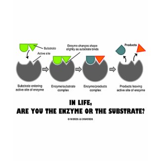 In Life, Are You The Enzyme Or The Substrate? shirt