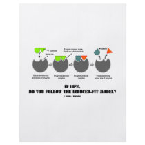 In Life, Do You Follow The Induced-Fit Model? Flyer