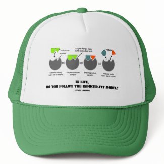 In Life, Do You Follow The Induced-Fit Model? hat