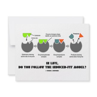 In Life, Do You Follow The Induced-Fit Model? invitation