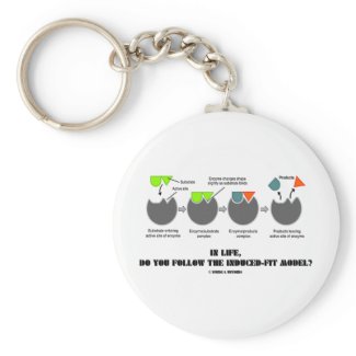 In Life, Do You Follow The Induced-Fit Model? Key Chain