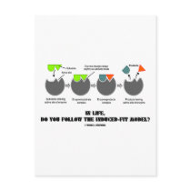 In Life, Do You Follow The Induced-Fit Model? Postcards
