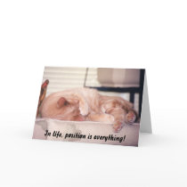 "In life, position is everything!" cards by HLBeach "In life, position is everything!" cards