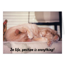 "In life, position is everything!" Greeting Cards