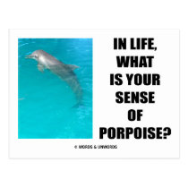 In Life, What Is Your Sense Of Porpoise? (Purpose) postcards
