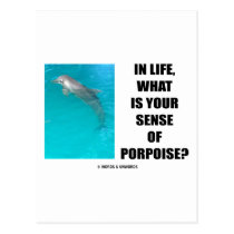 In Life, What Is Your Sense Of Porpoise? (Purpose) postcards