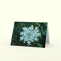 In Love cards by MoiraAshleigh In Love cards
