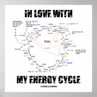 In Love With My Energy Cycle (Krebs Cycle) Print