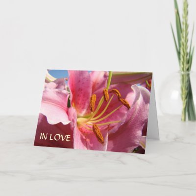 Valentine Lilies