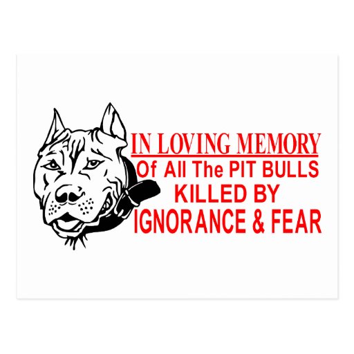 IN LOVING MEMORY OF PIT BULLS POST CARD