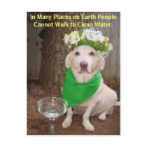 In Many Places on Earth People Cannot Walk to Clea postcards by myrtieshuman In Many Places on Earth People Cannot Walk to Clea postcards