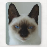 In Memory of Mushu Mousepad