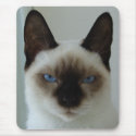 In Memory of Mushu Mousepad by GrumpyKittenGraphics In Memory of Mushu Mousepad