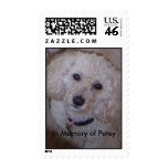 In Memory of Petey postage