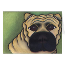 In Memory of Sasha by Robyn Feeley cards