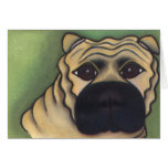 In Memory of Sasha by Robyn Feeley cards