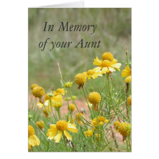 Sympathy On The Death Of An Aunt Cards, Sympathy On The Death Of An ...