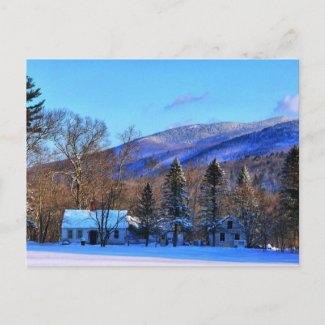 In my backyard-New England Postcard postcard