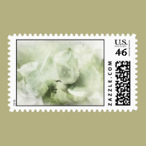 In my dreams postage