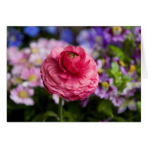In My Garden cards by niagaragirl In My Garden cards