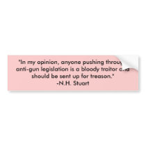 "In my opinion, anyone pushing through anti-gun... bumper stickers