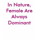 In Nature, Female Are Always Dominant t-shirts