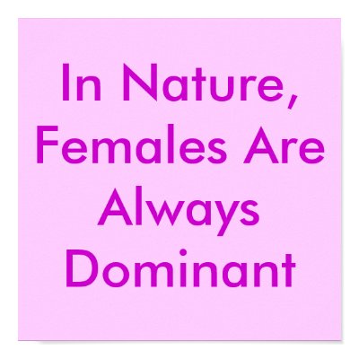 In Nature, Females Are Always Dominant Poster by Female_Supremacy