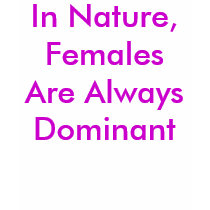 In Nature, Females Are Always Dominant t-shirts by Female_Supremacy In Nature, Females Are Always Dominant t-shirts