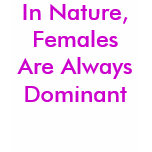 In Nature, Females Are Always Dominant t-shirts