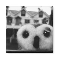 In Need Of Shelter magnets by Heartworks In Need Of Shelter magnets
