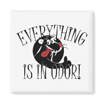 In Odor Skunk Magnets