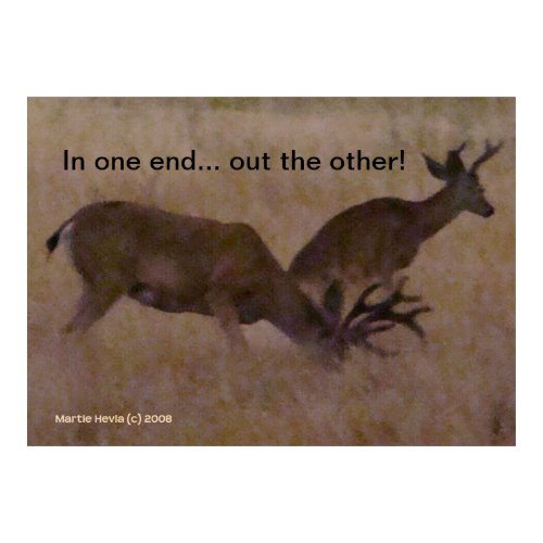 In one end / Out the other - Personalize Poster print