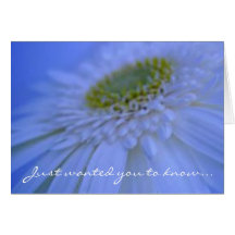 In our prayers... greeting card