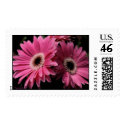 In Pink G_04 Postage postage by glo53bug In Pink G_04 Postage postage