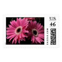 In Pink G_04 Postage