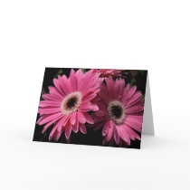 In Pink G_4 Greeting Card